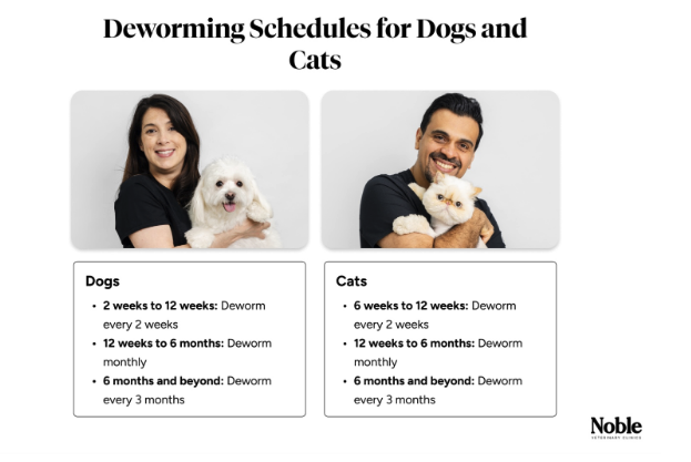 deworm2.png